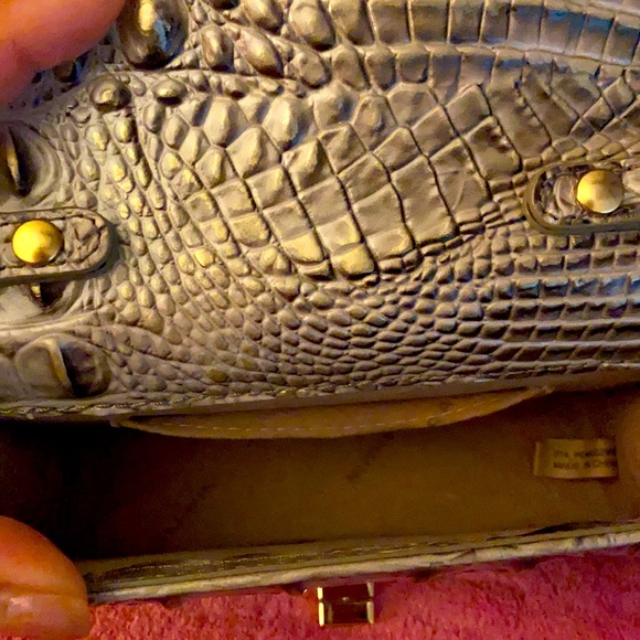 BRAHMIN - Picture 4 of 5